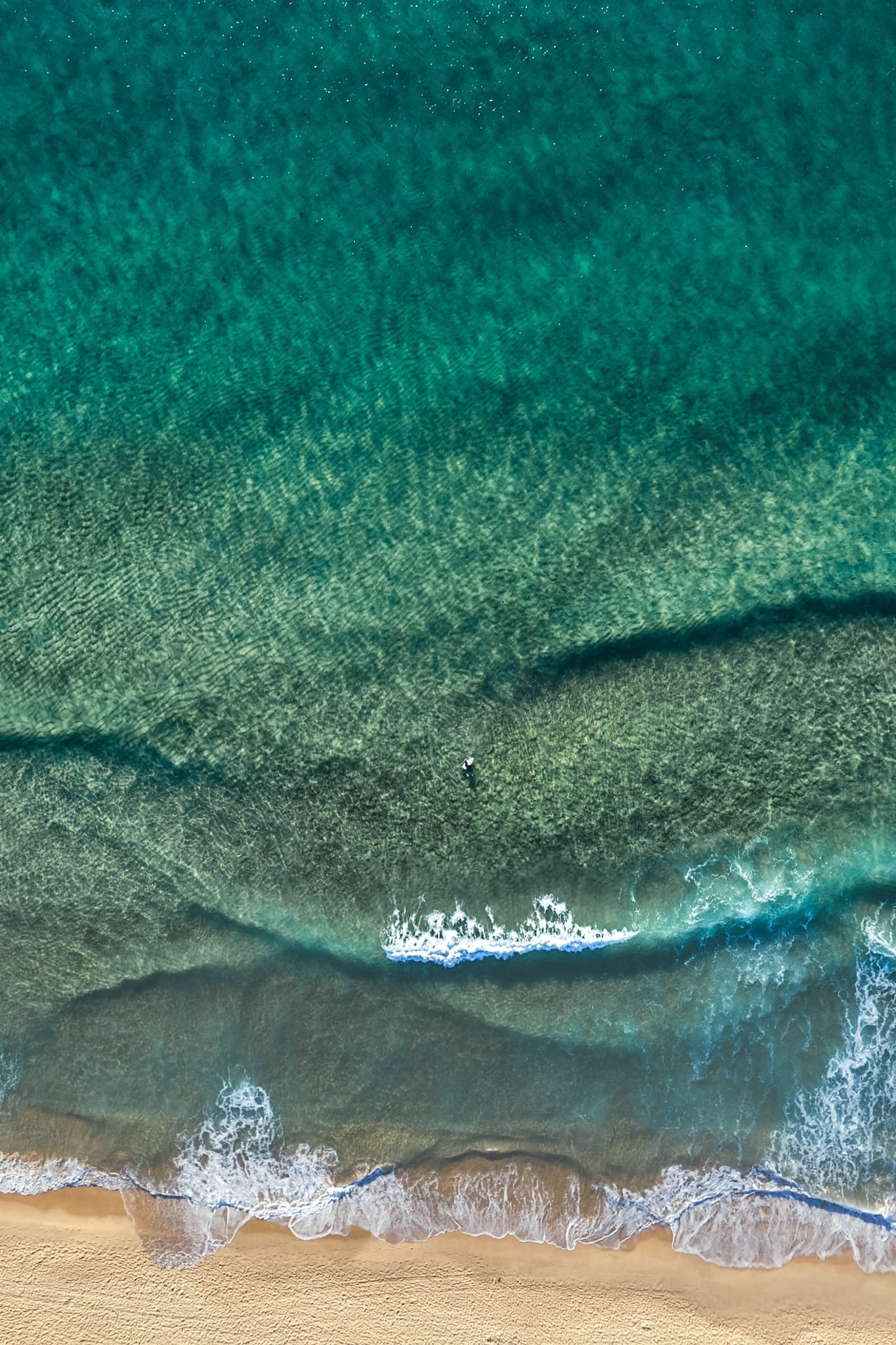 The Find — Northern Beaches