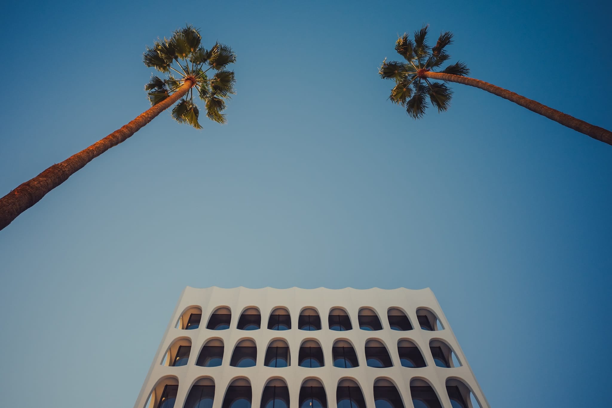 Color photograph of two palm trees framing an arched white building facade against a blue sky in Los Angeles.