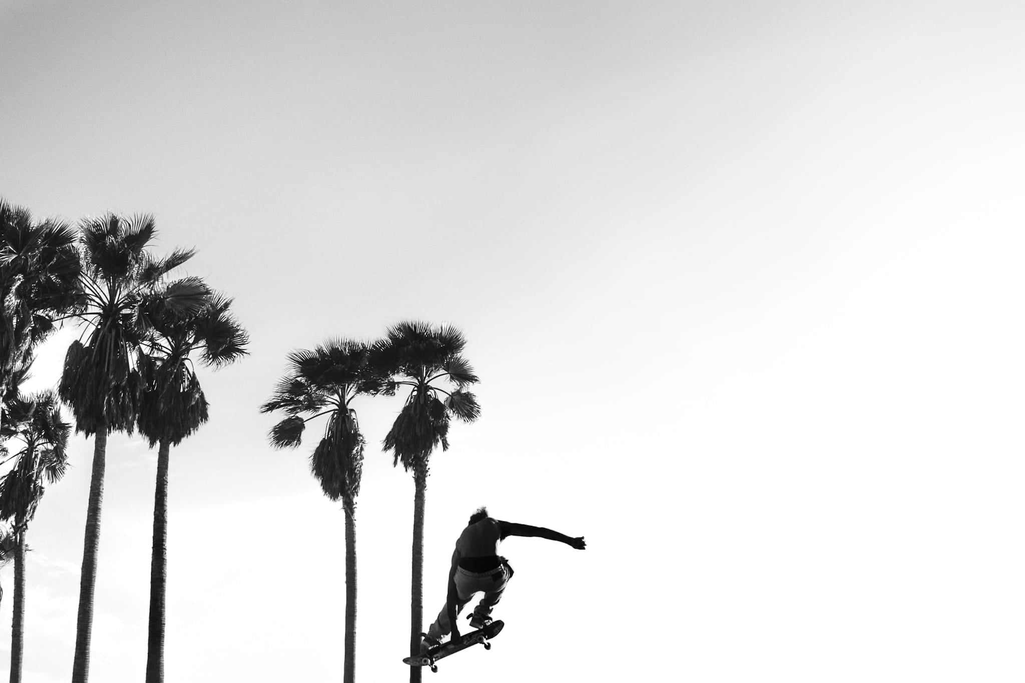 Black and white photograph of a skateboarder jumping against an empty sky with palm trees at Venice Beach.