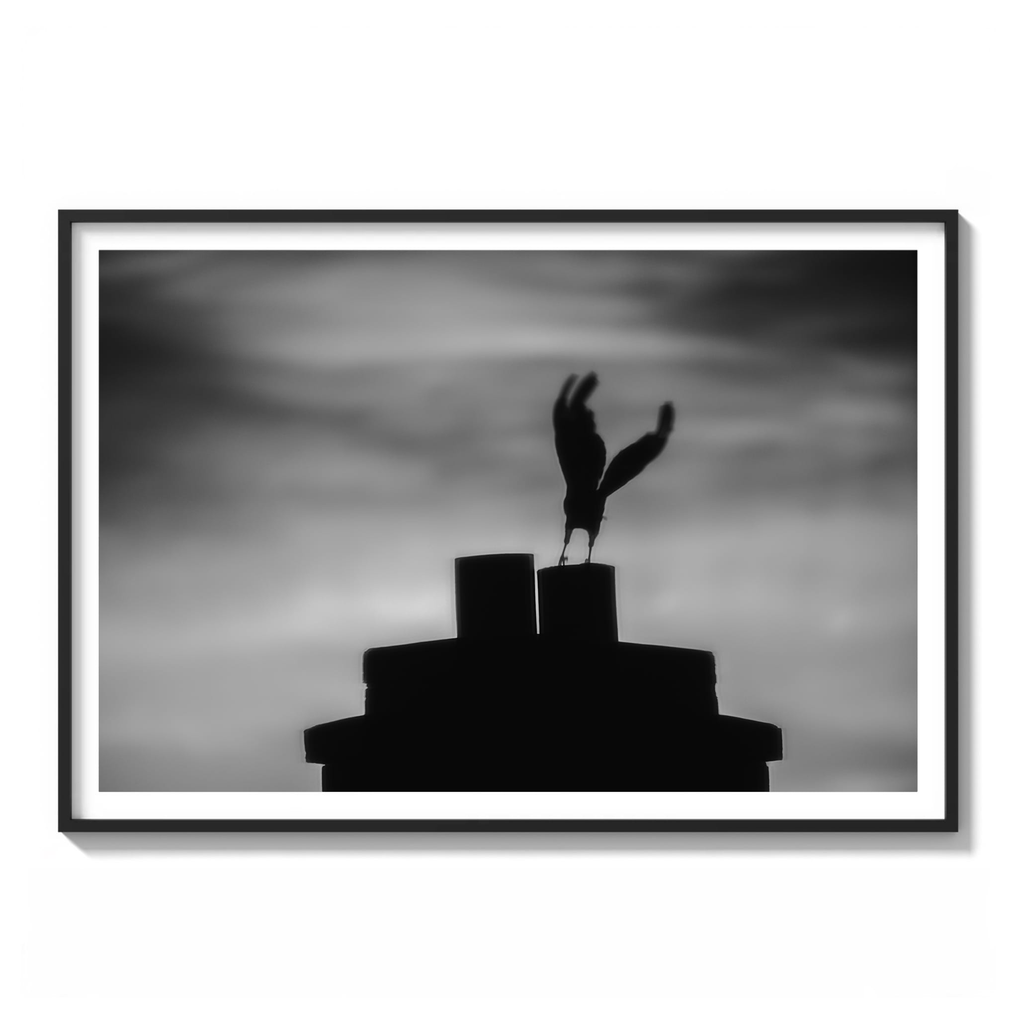Framed black and white photograph of a bird in flight silhouetted against a moody dusk sky above a chimney in Sydney.