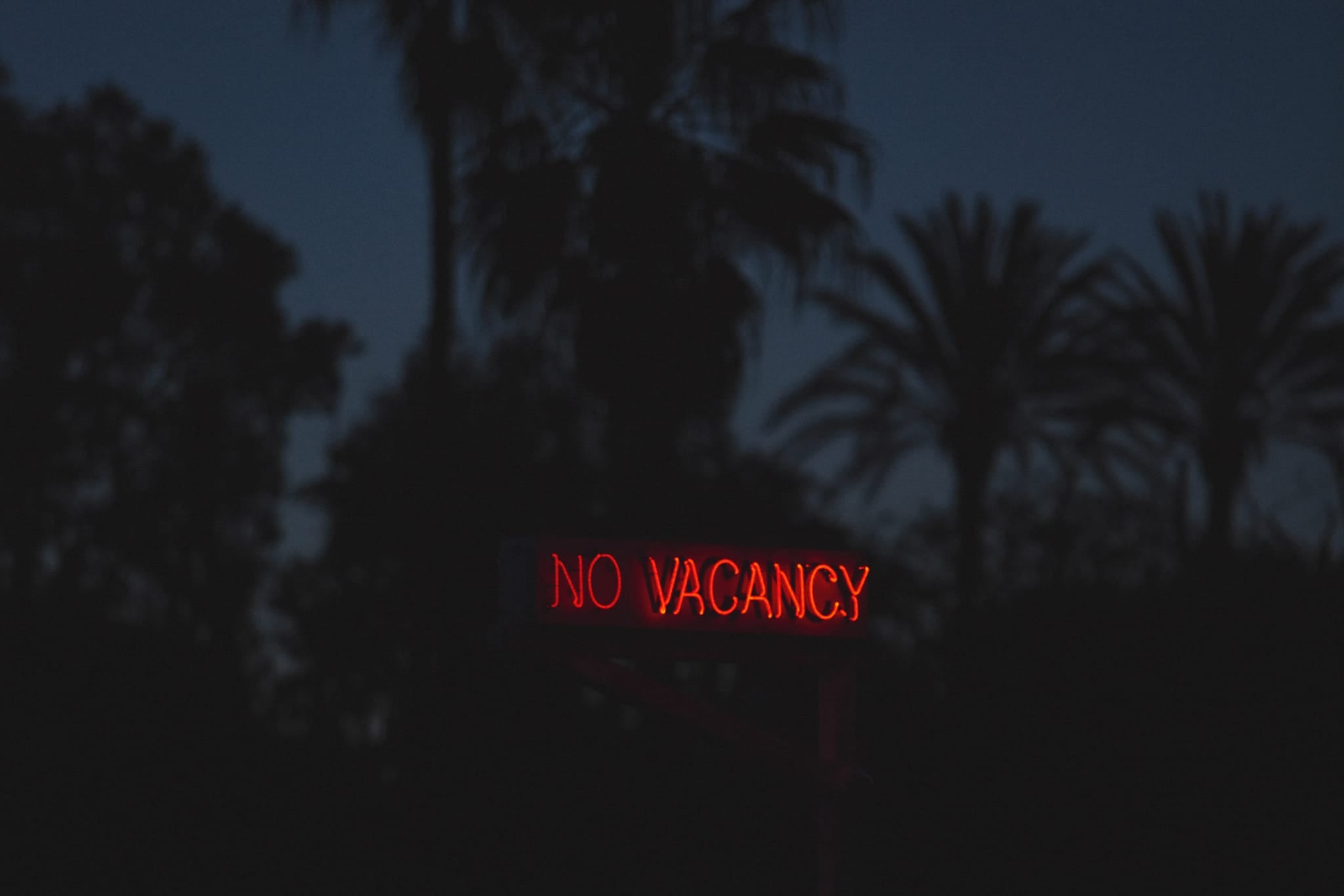 Color photograph of a glowing red "No Vacancy" neon sign against a dark blue dusk sky with palm tree silhouettes in Los Angeles.
